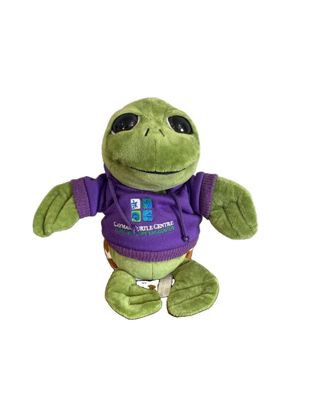 The Petting Zoo -GREEN SEA TURTLE PLUSH WITH PURPLE HOODIE Cayman Turtle Centre